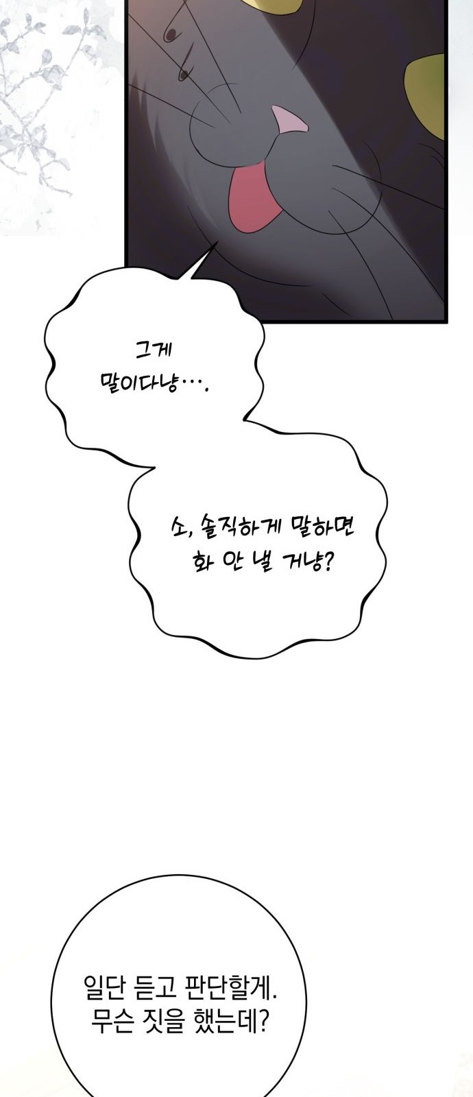 120 페이지