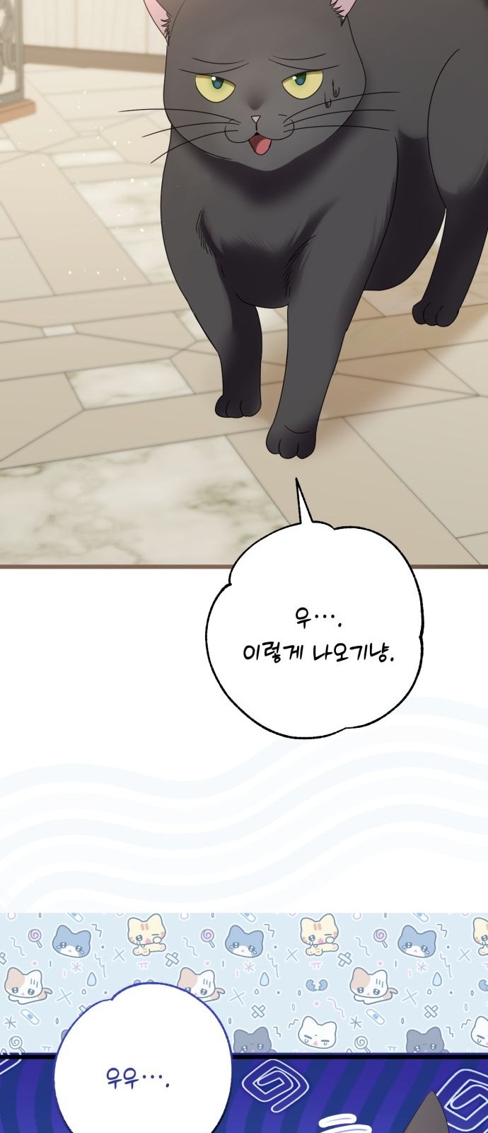110 페이지