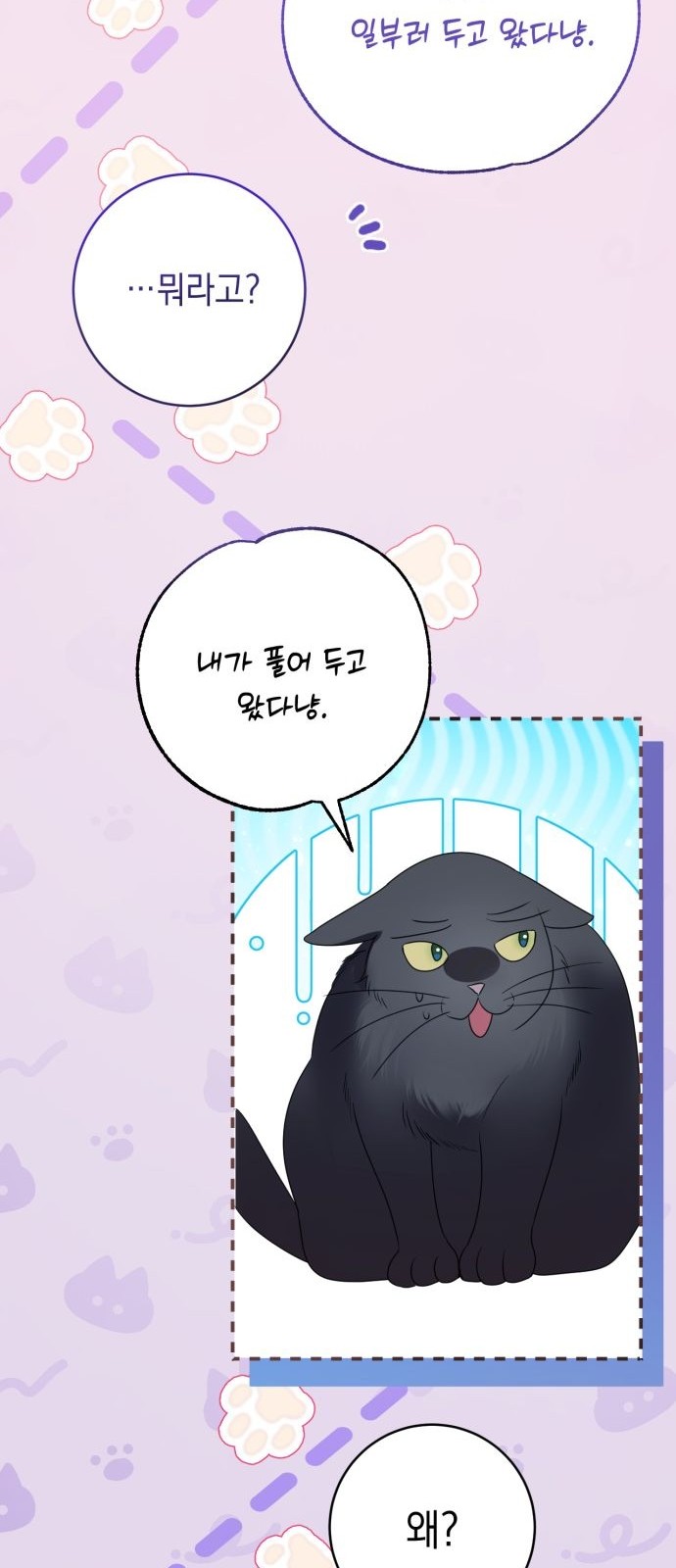 113 페이지