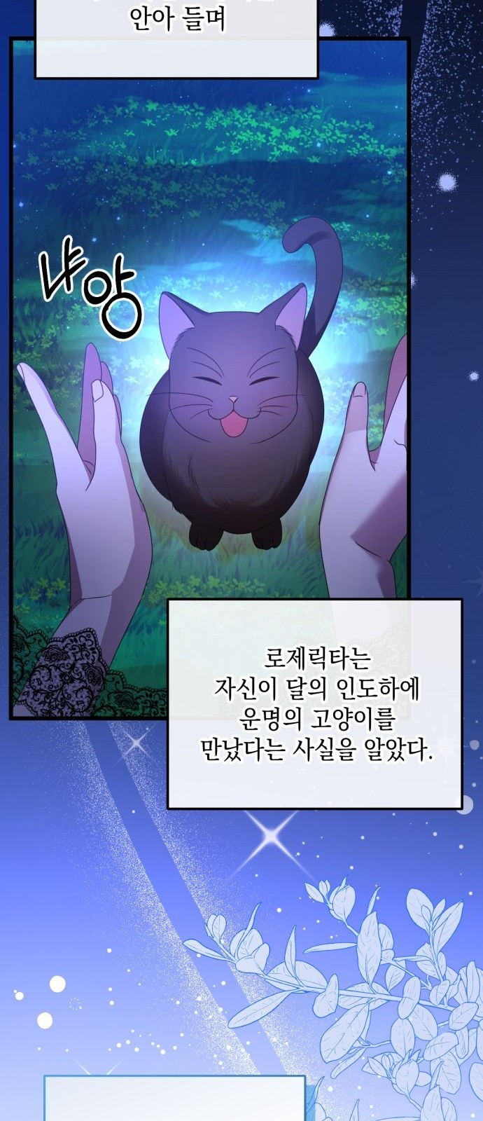 51 페이지