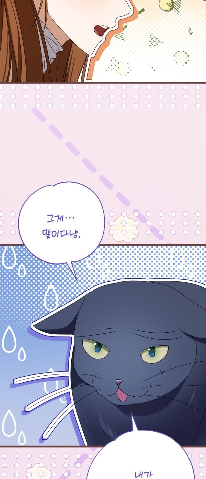 112 페이지