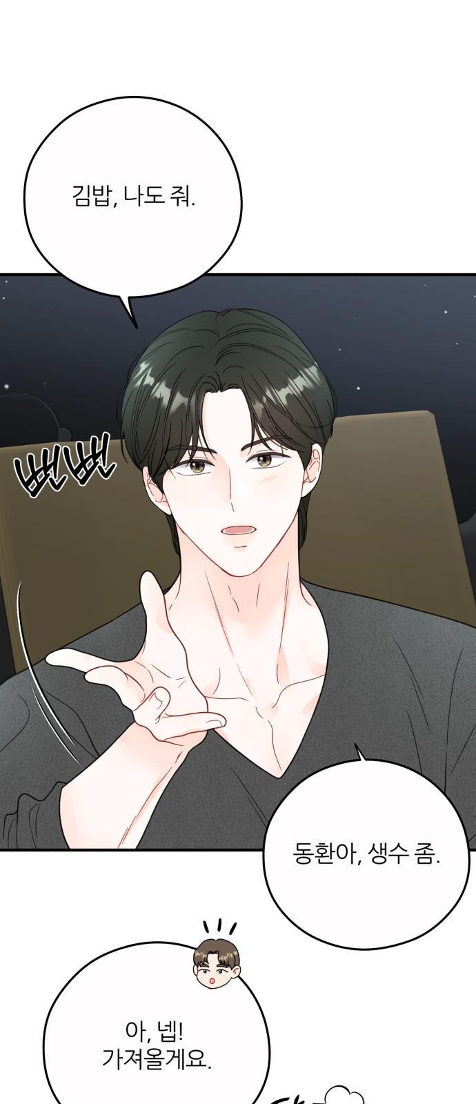 33 페이지