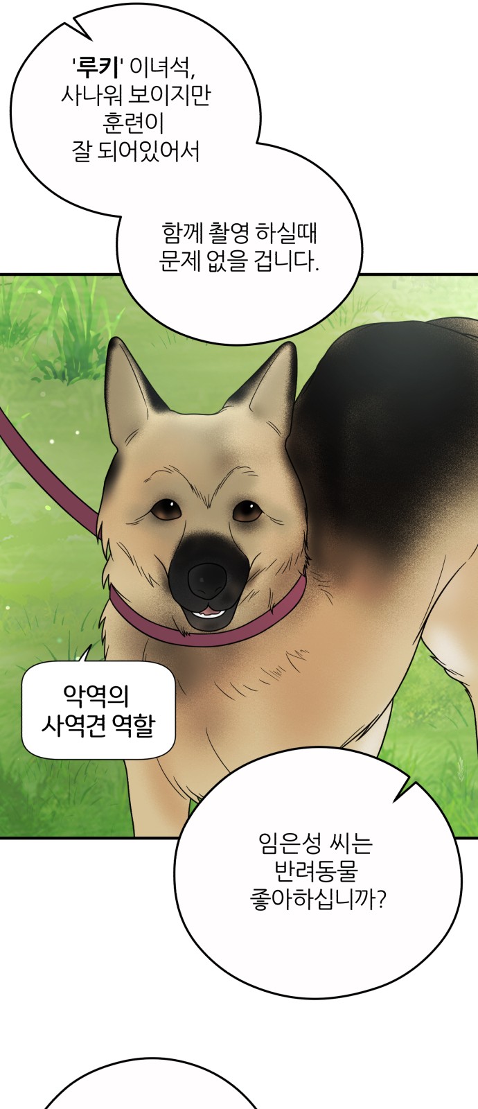 42 페이지