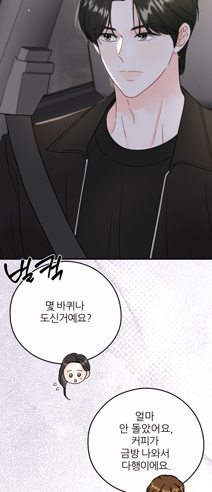 46 페이지