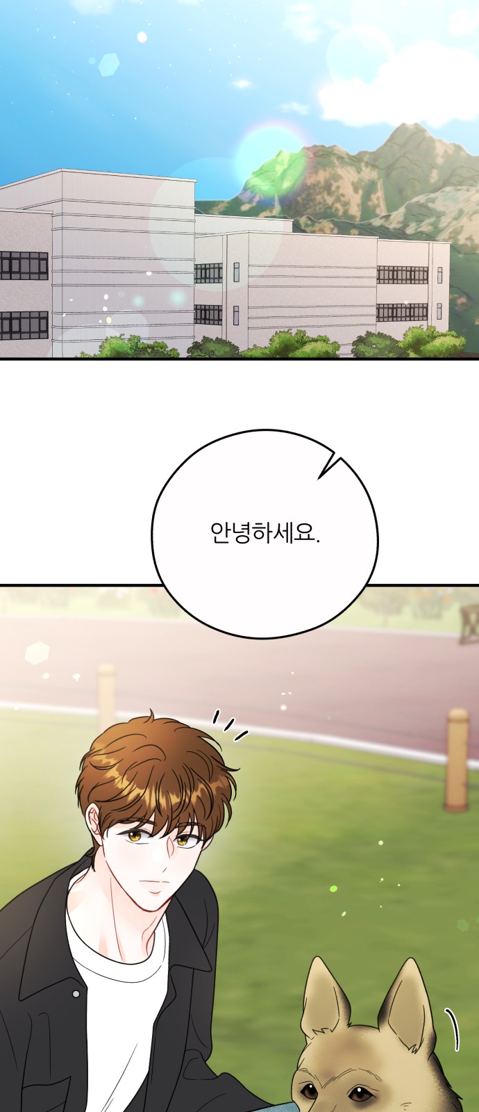 43 페이지