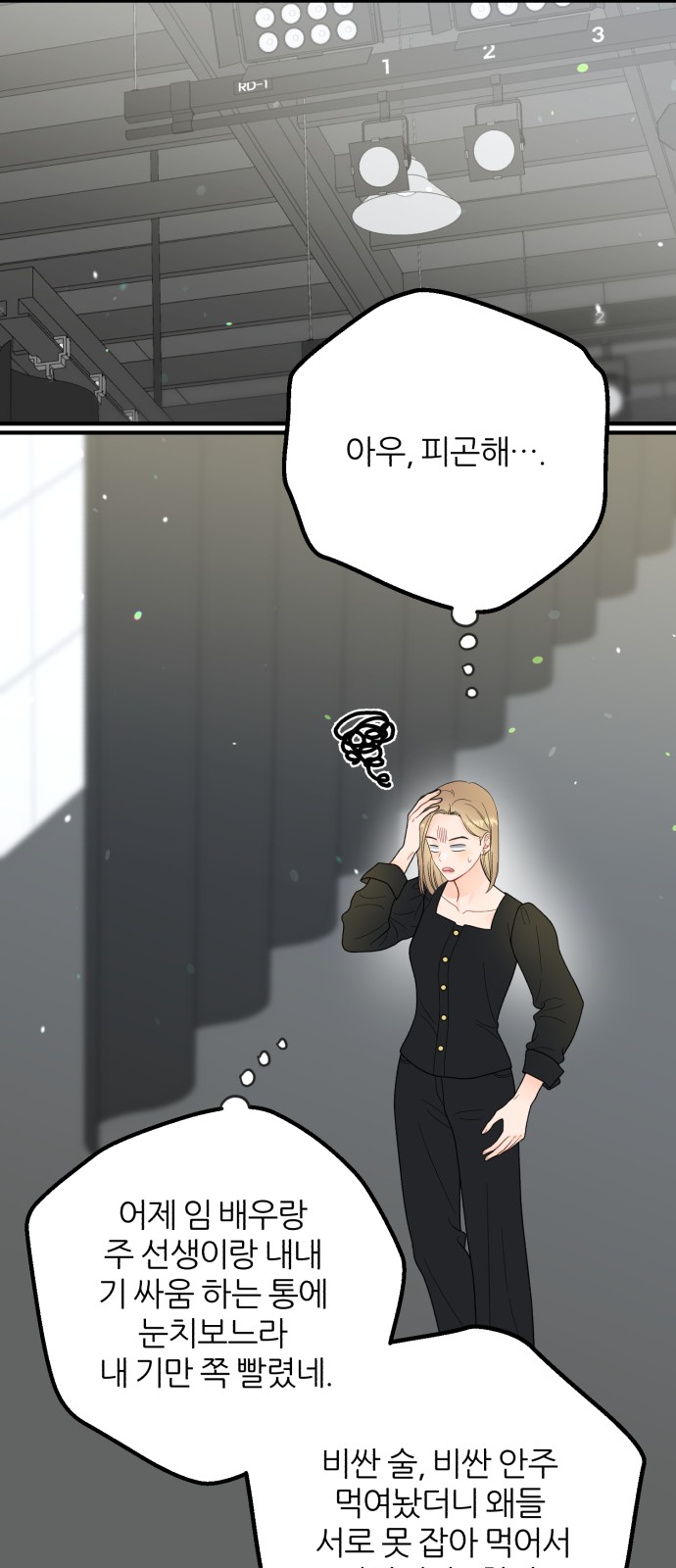 48 페이지