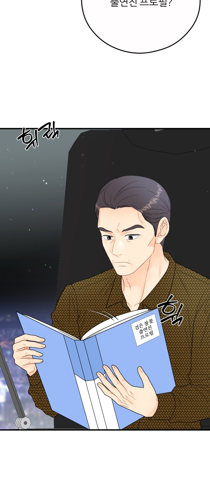 33 페이지