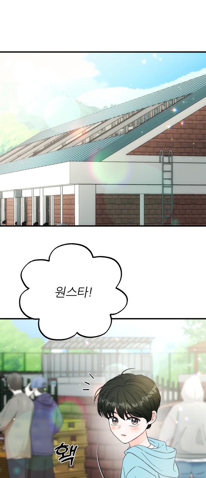17 페이지
