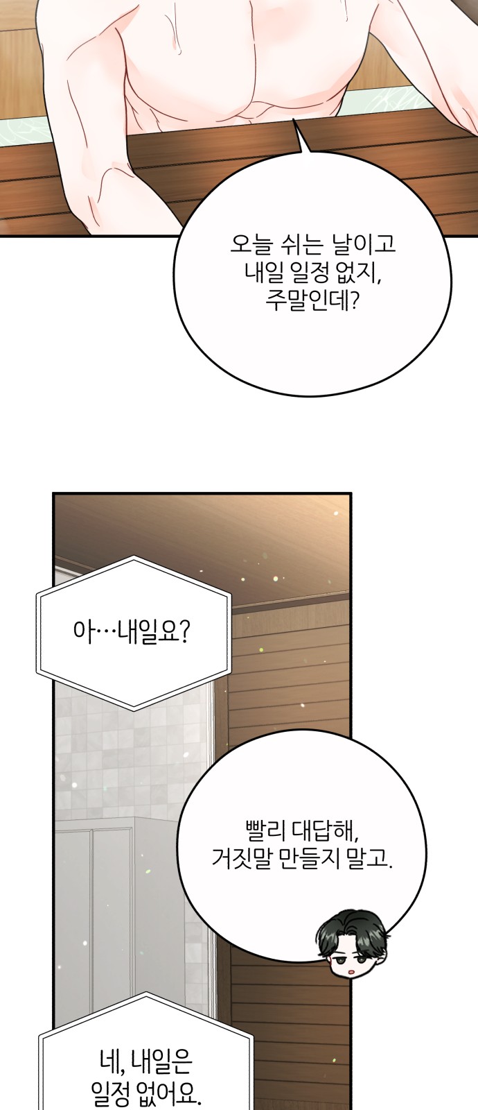 50 페이지