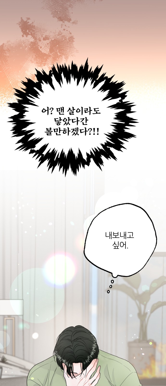 68 페이지