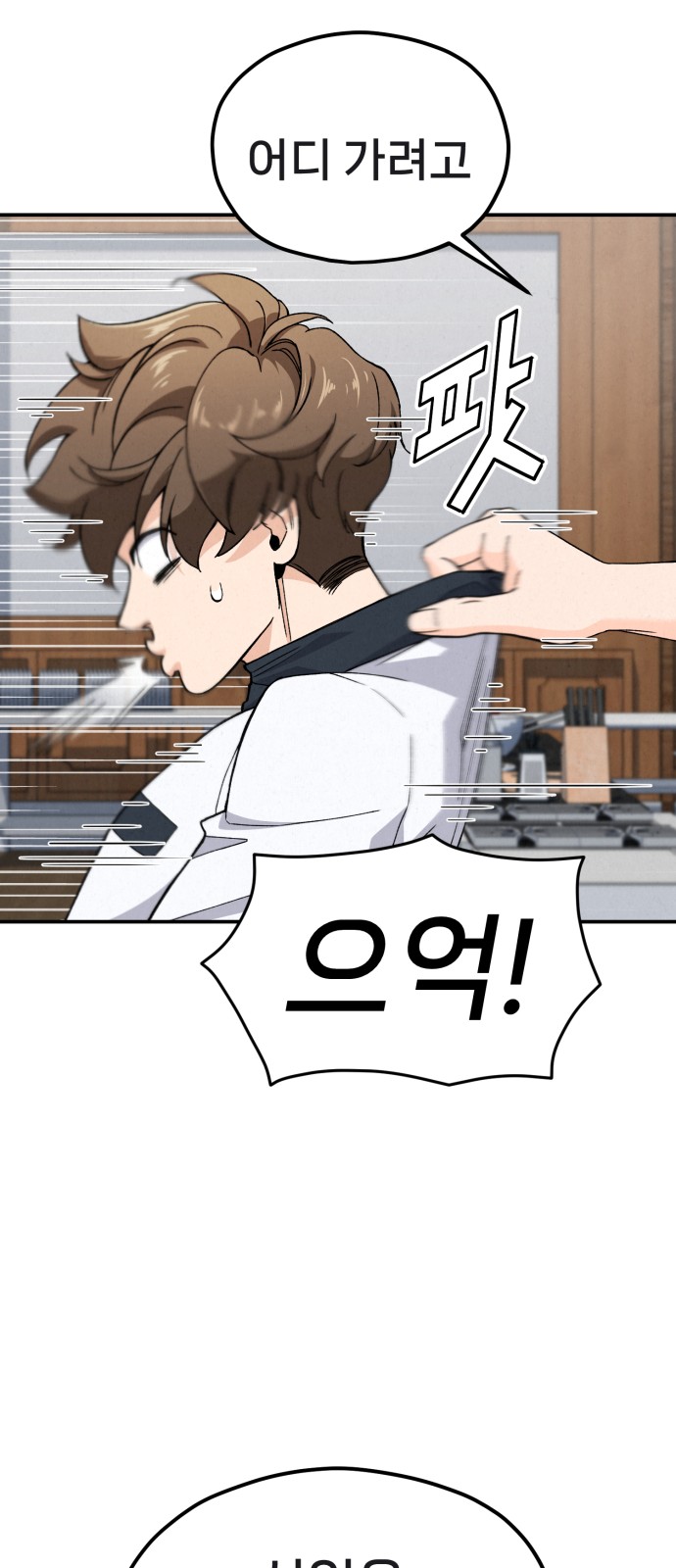 33 페이지