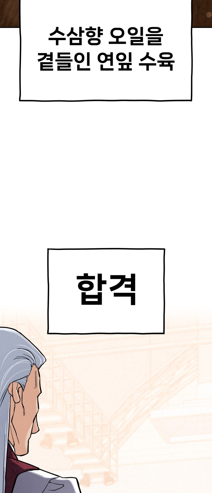 86 페이지