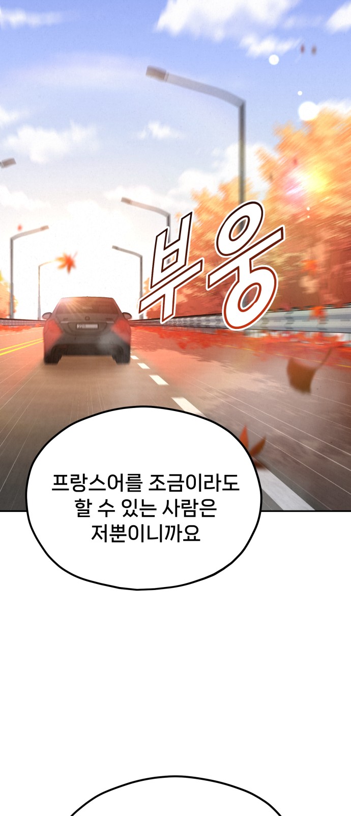 113 페이지