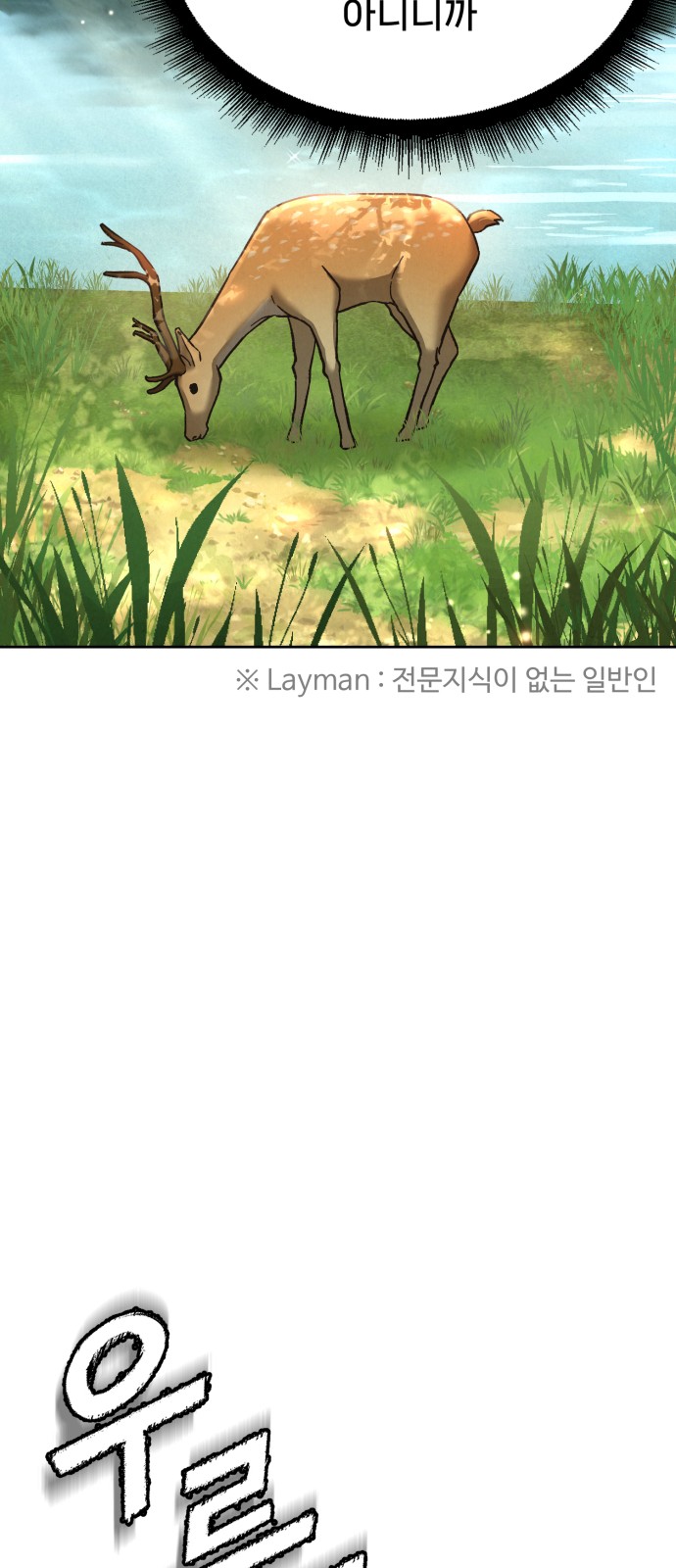 100 페이지