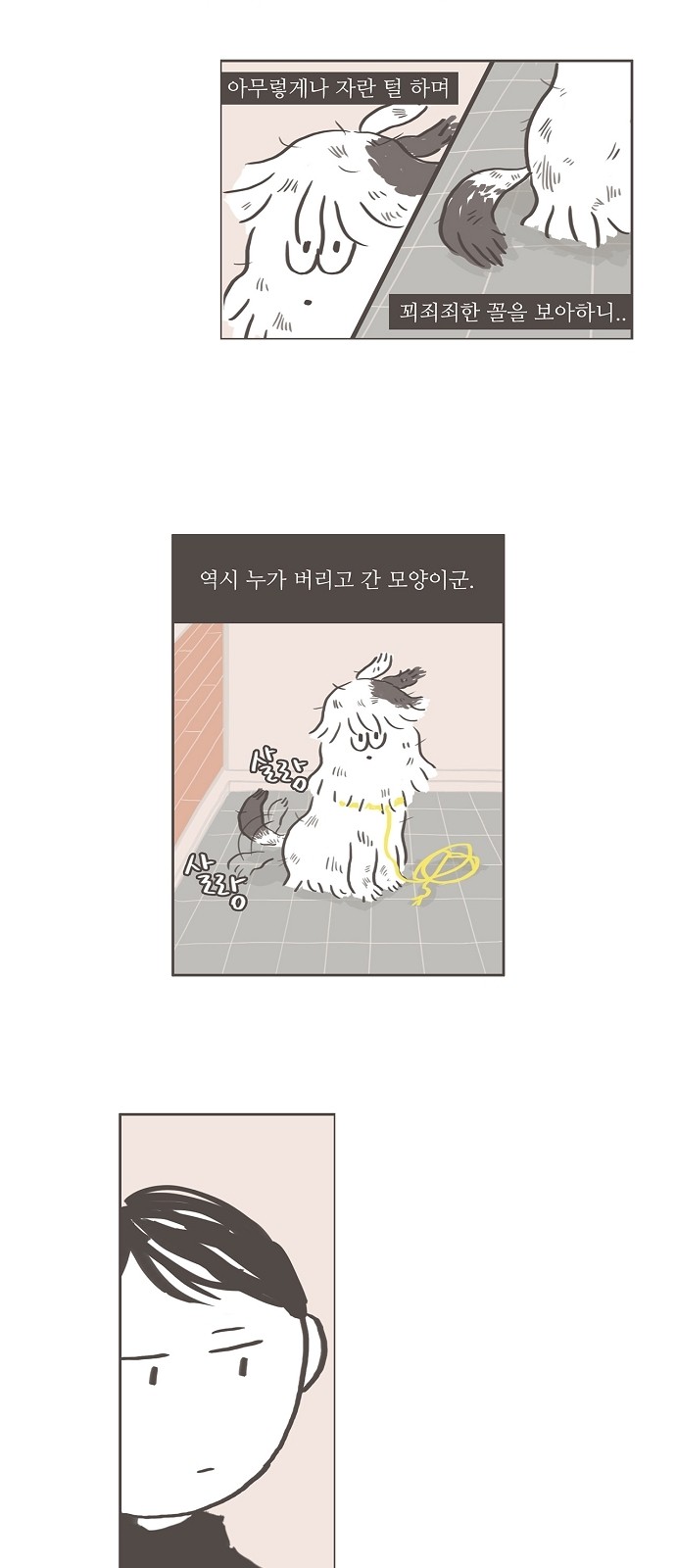 13 페이지