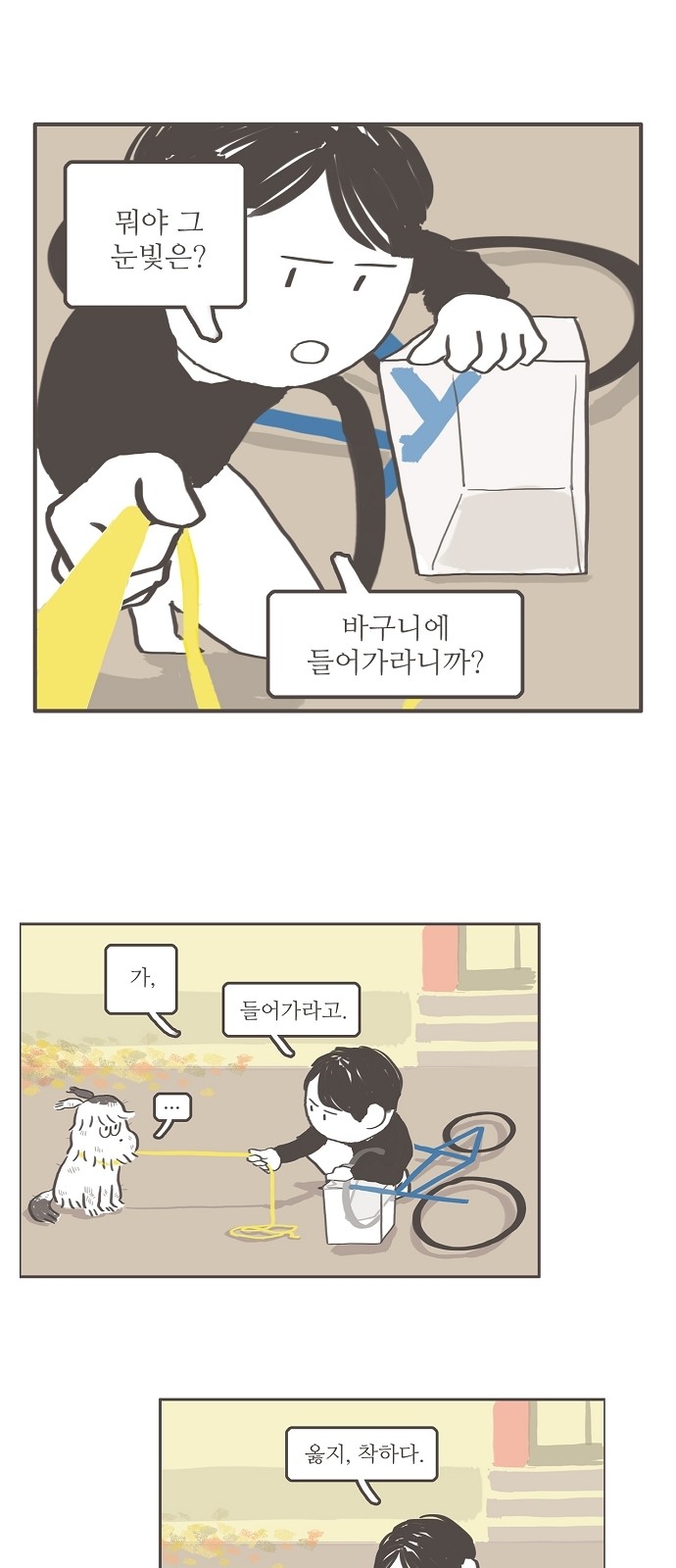 19 페이지