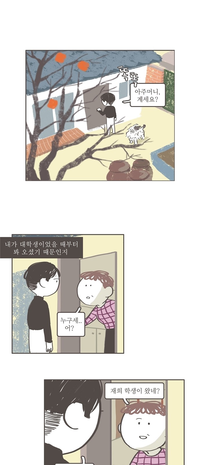 29 페이지