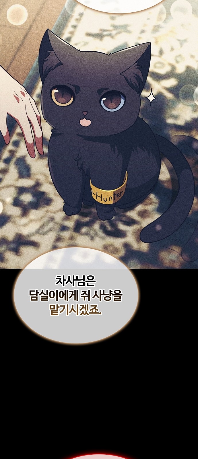 19 페이지