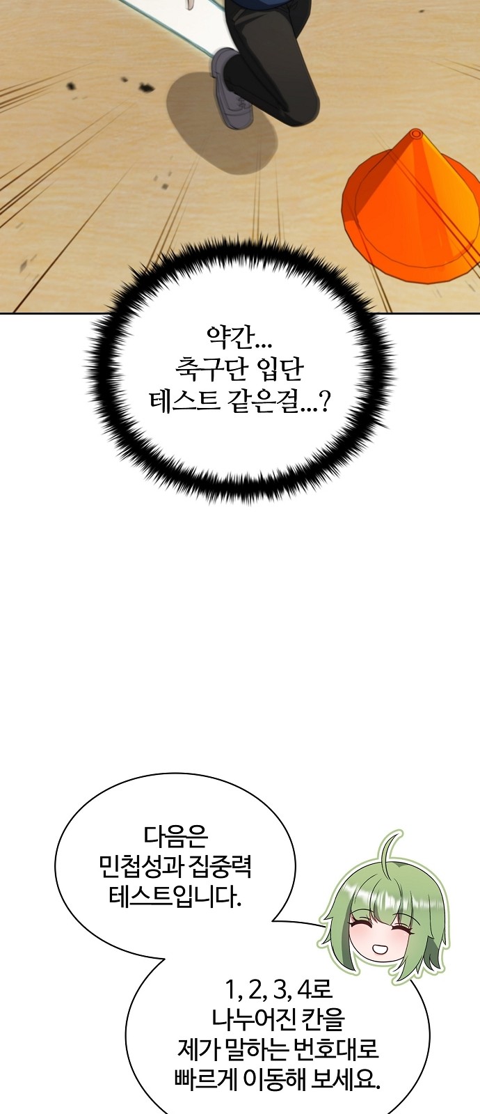 29 페이지