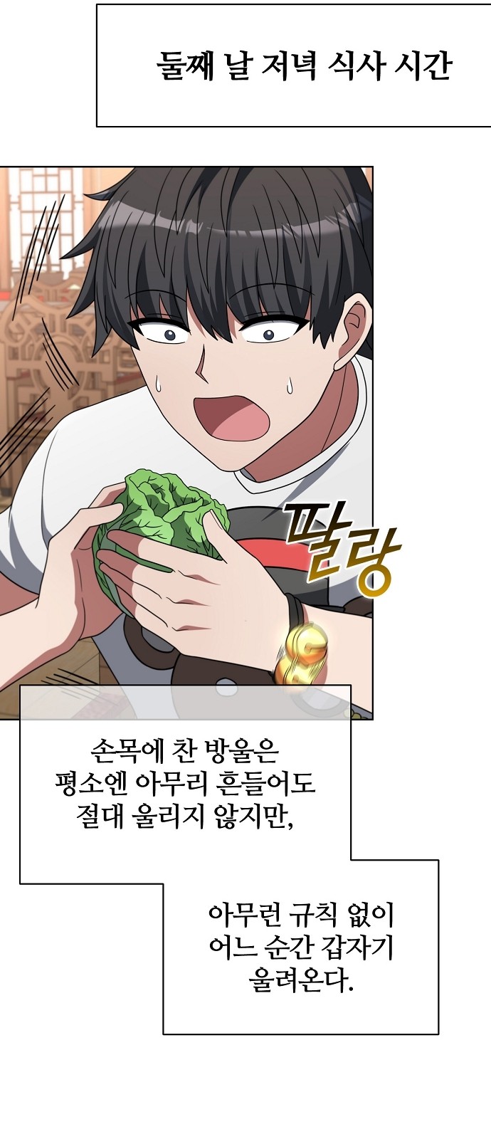 51 페이지