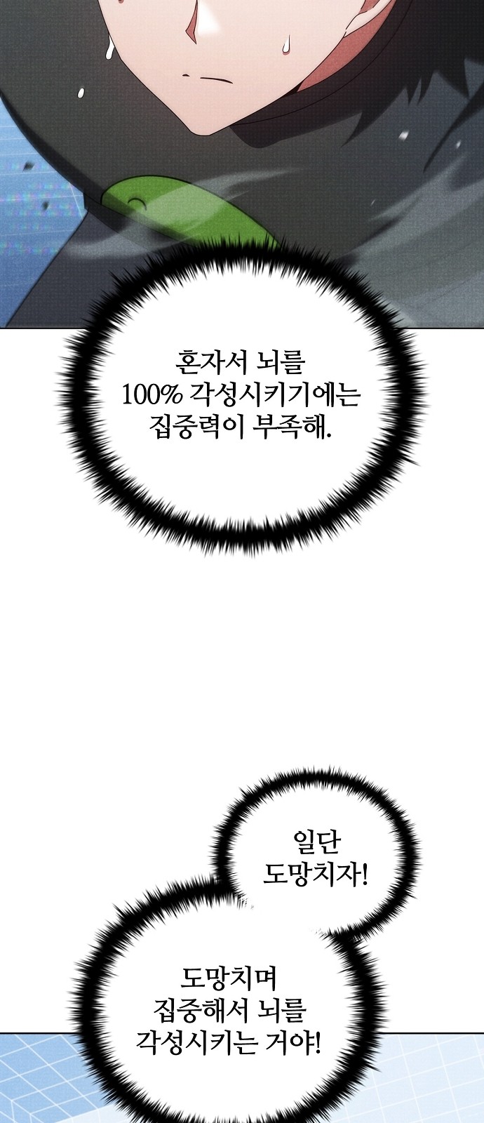 43 페이지