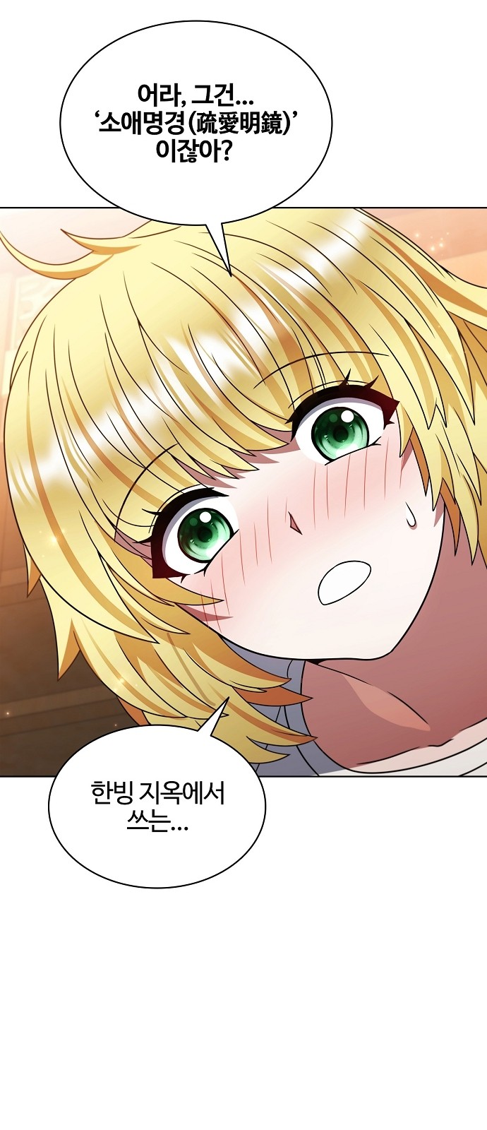 46 페이지