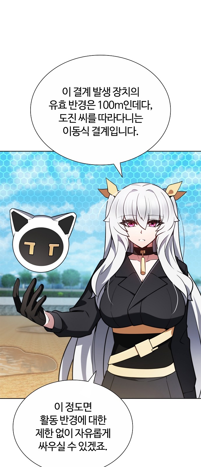 66 페이지