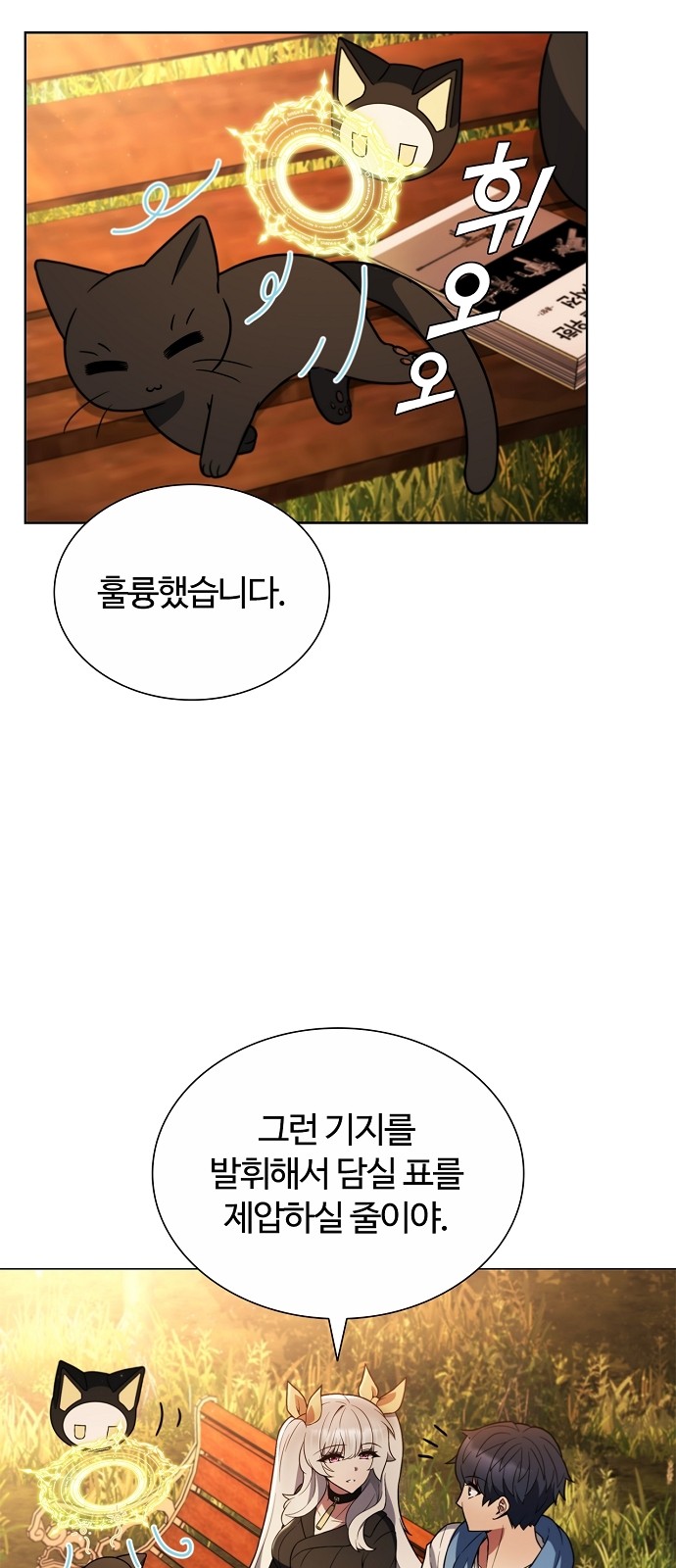 70 페이지
