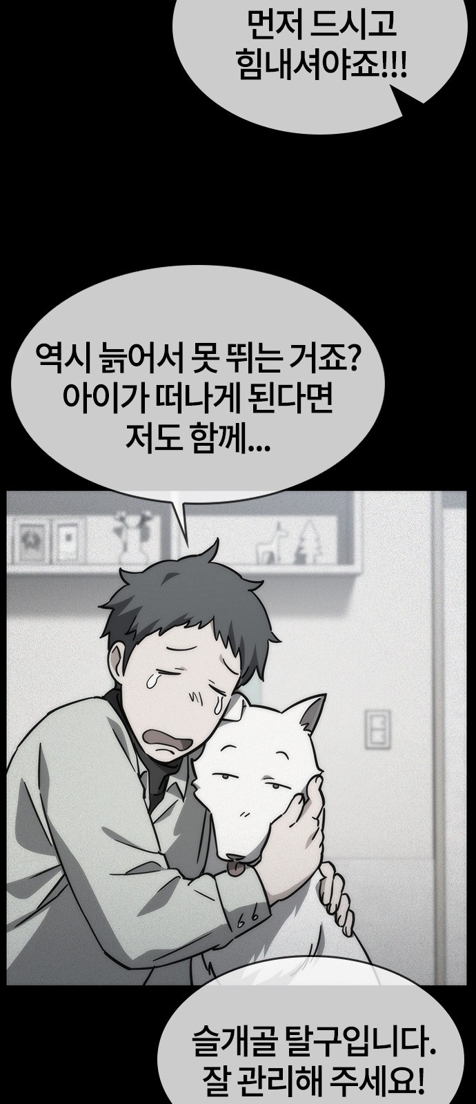 6 페이지
