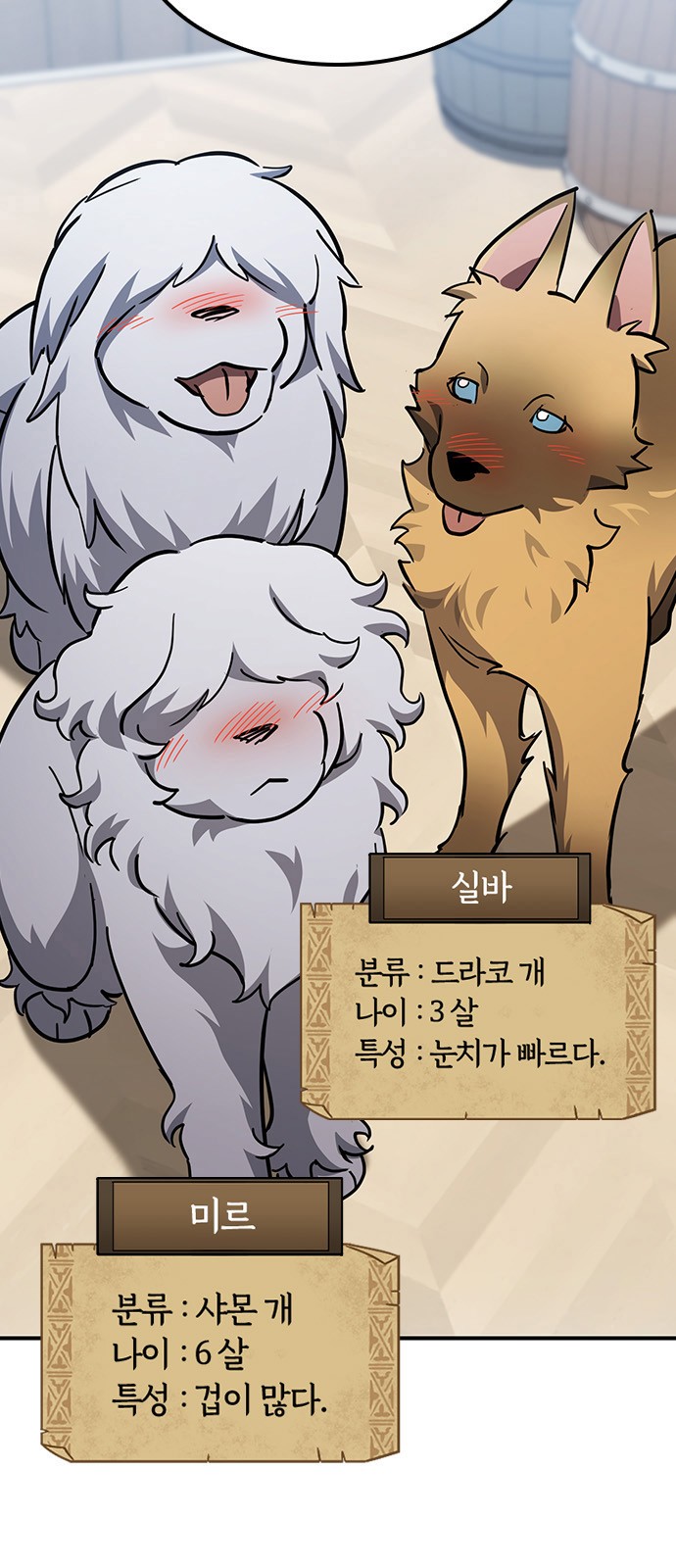 13 페이지