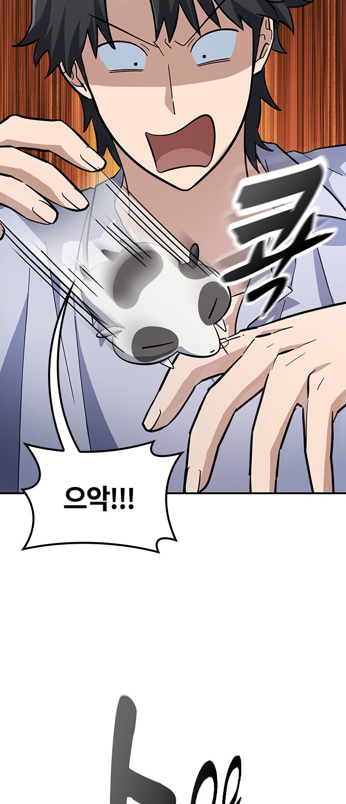 43 페이지
