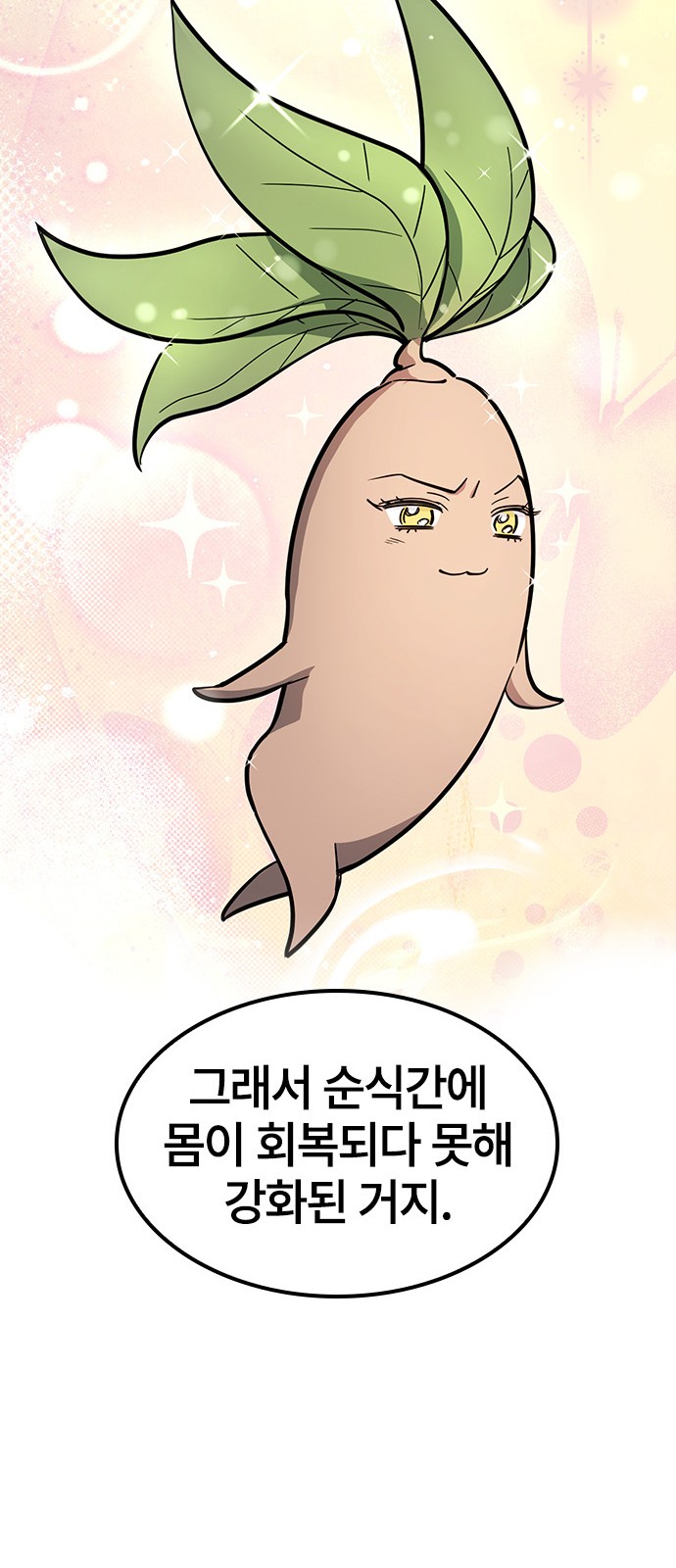 70 페이지