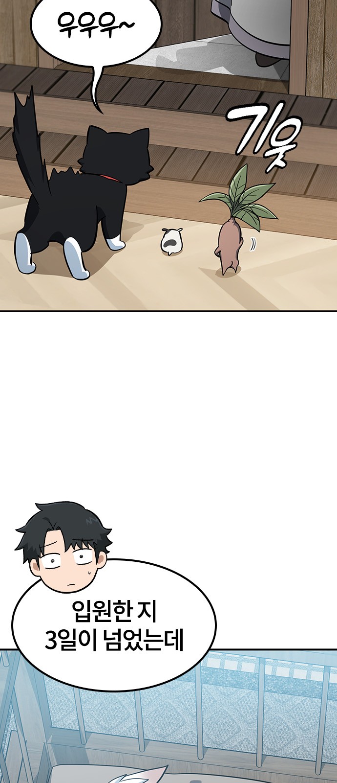 44 페이지