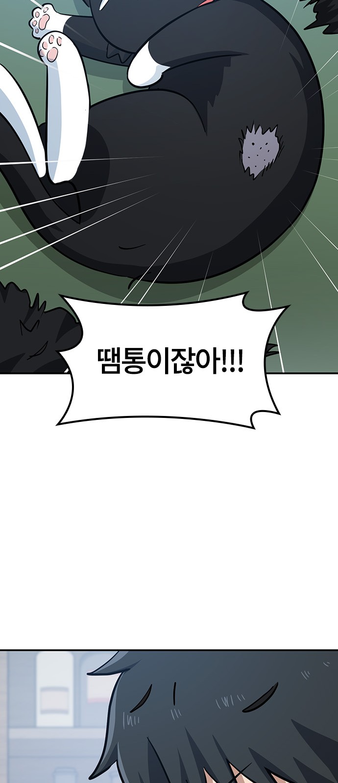 47 페이지
