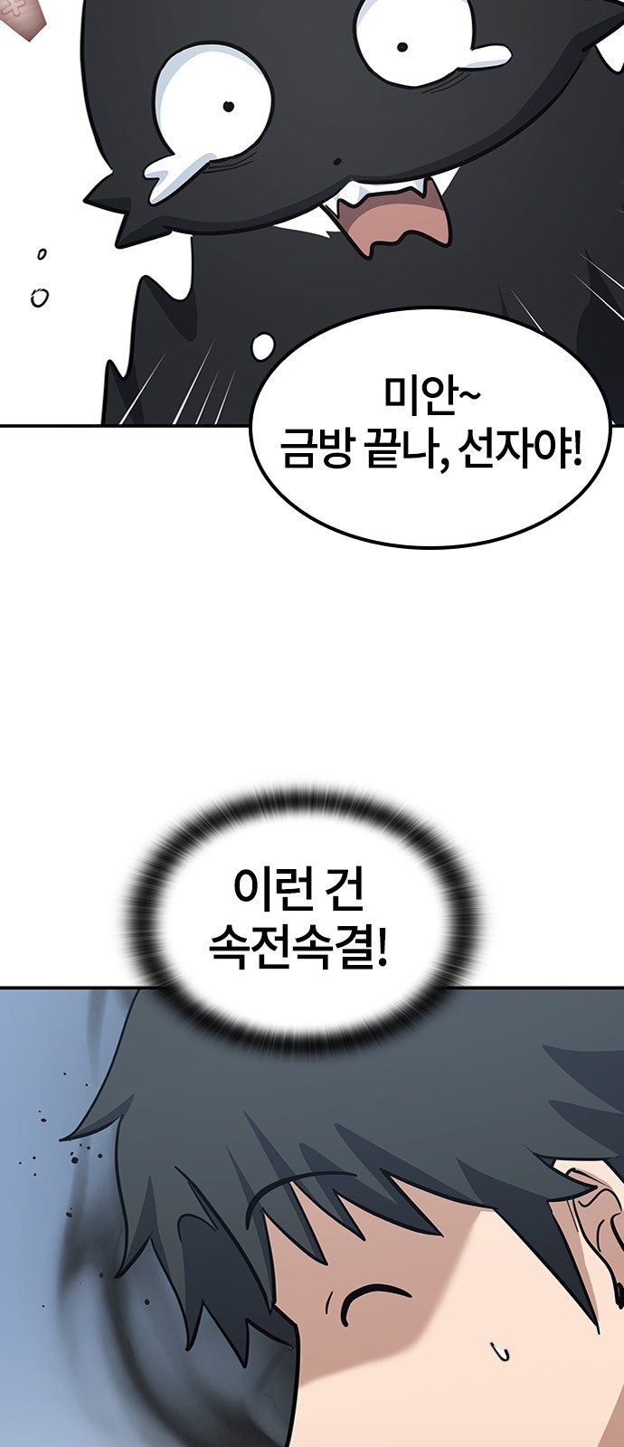 66 페이지