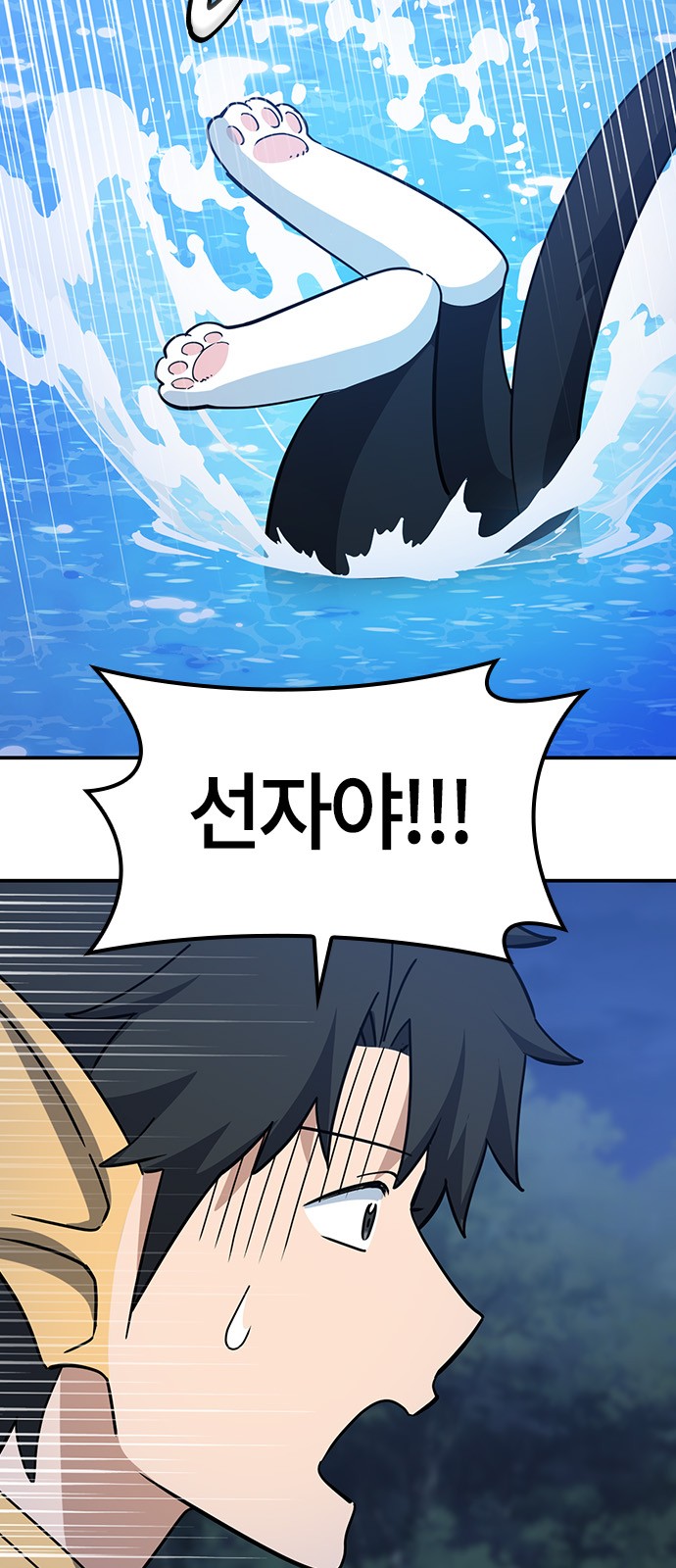 51 페이지
