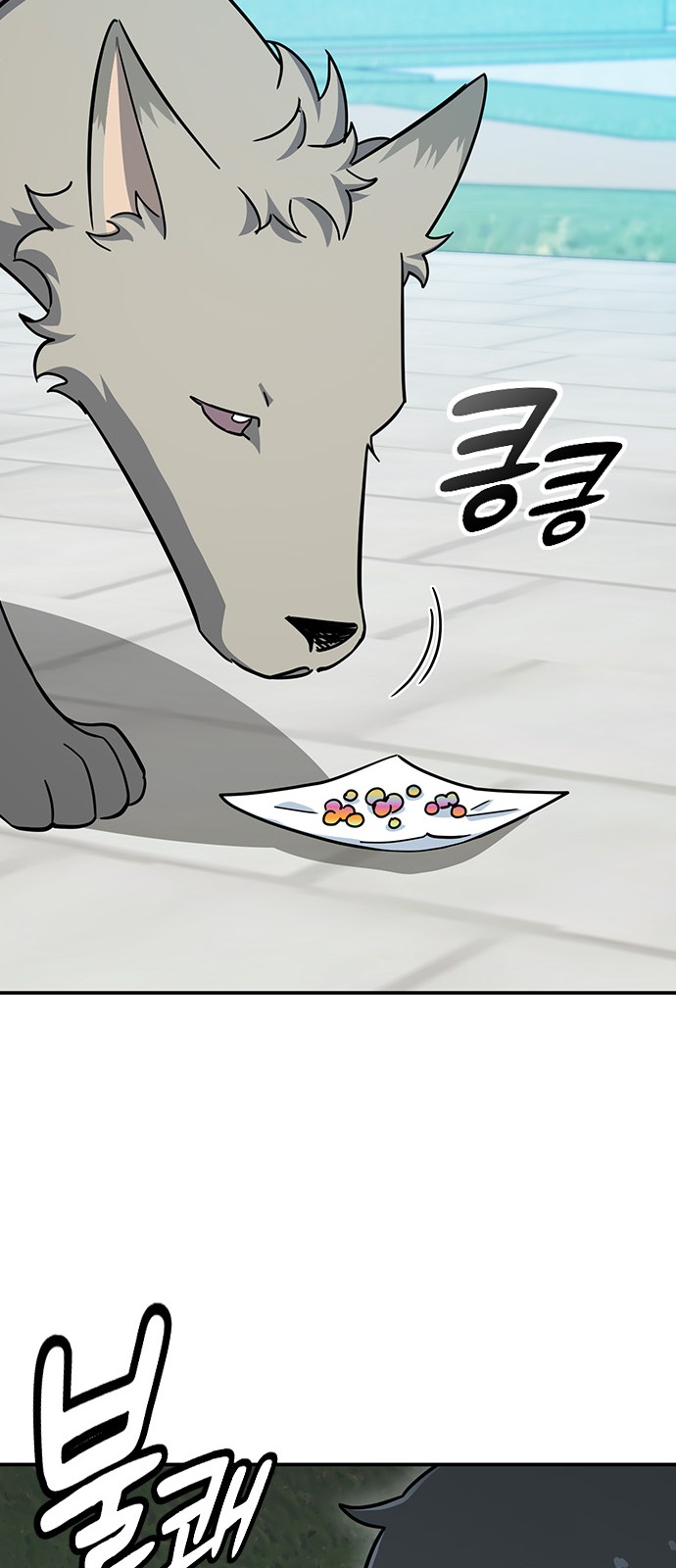 47 페이지