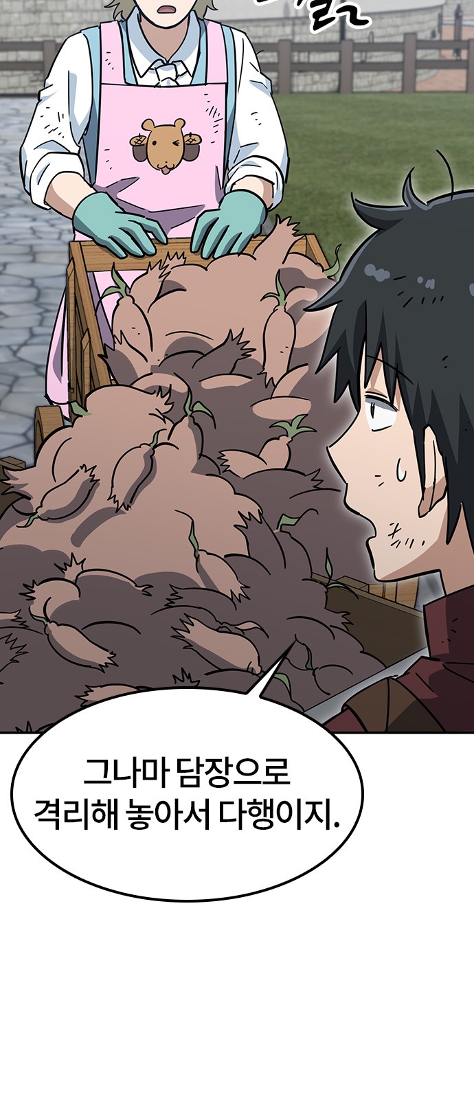 20 페이지