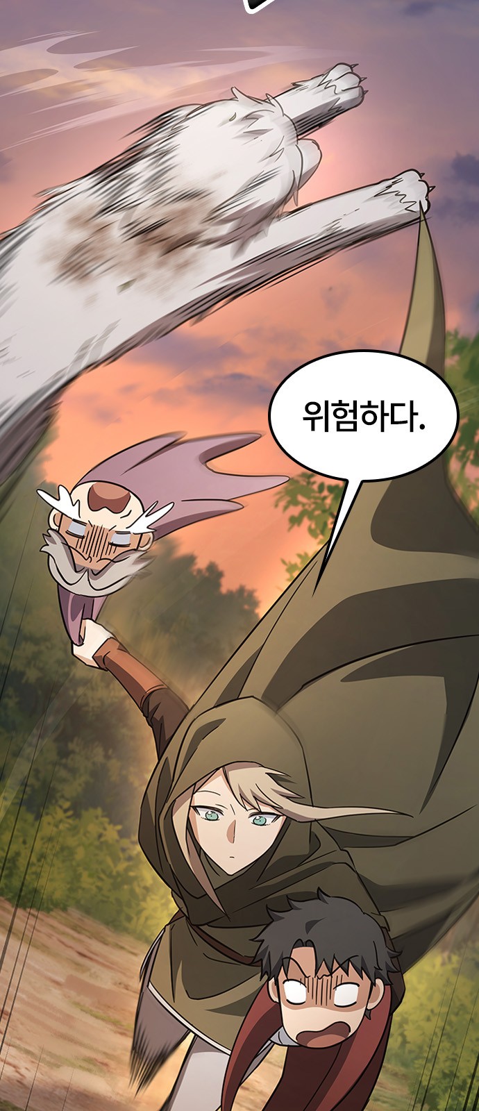 14 페이지