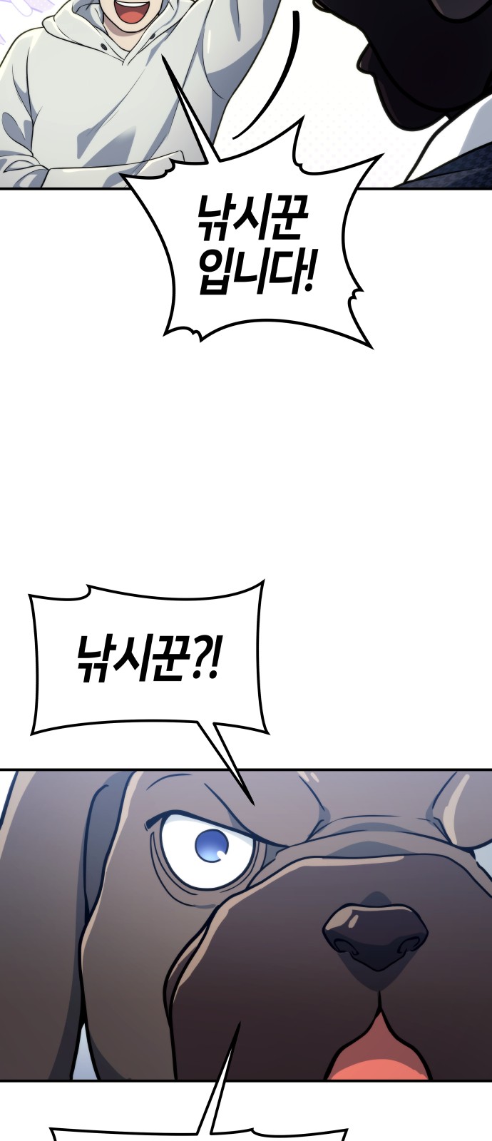 51 페이지