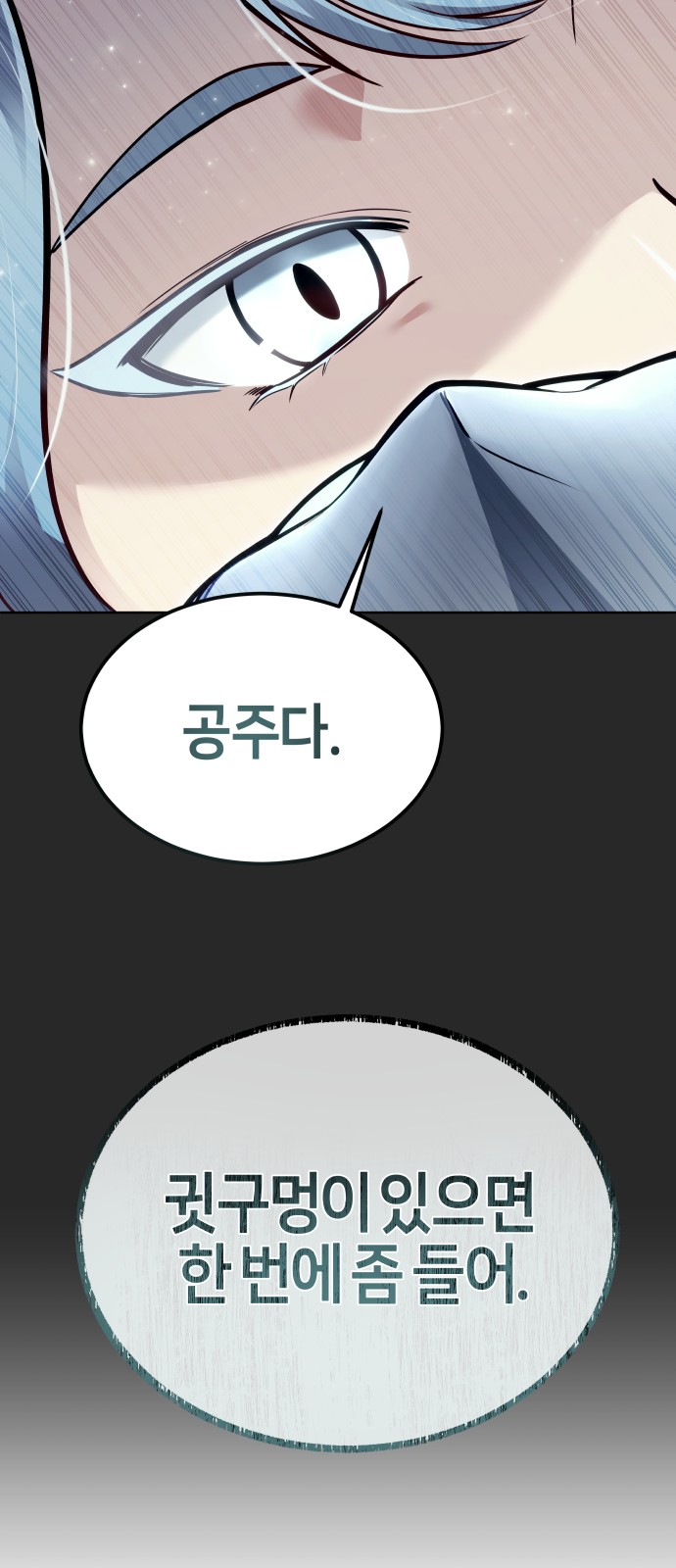 100 페이지