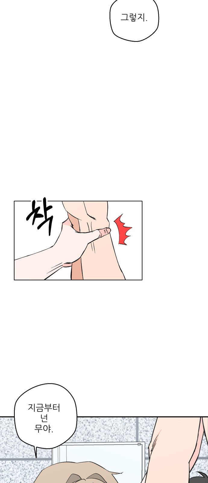 40 페이지