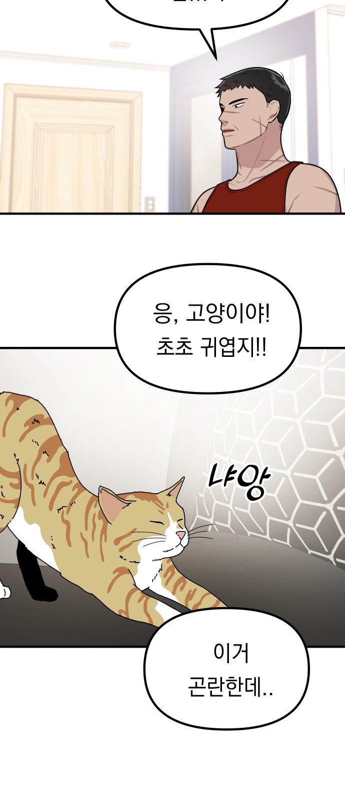 22 페이지