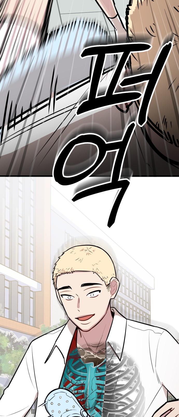 33 페이지