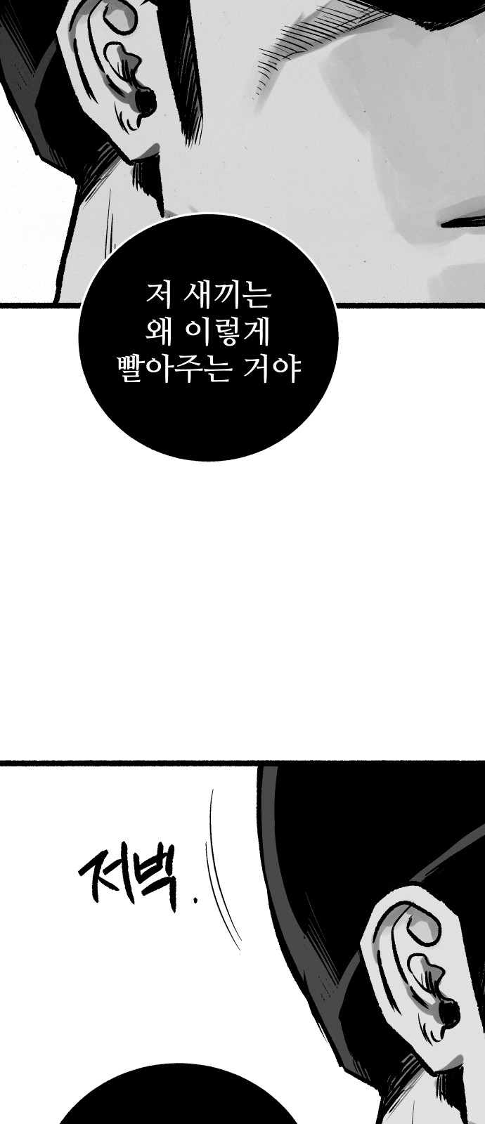 95 페이지
