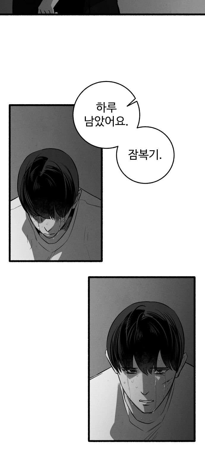 52 페이지
