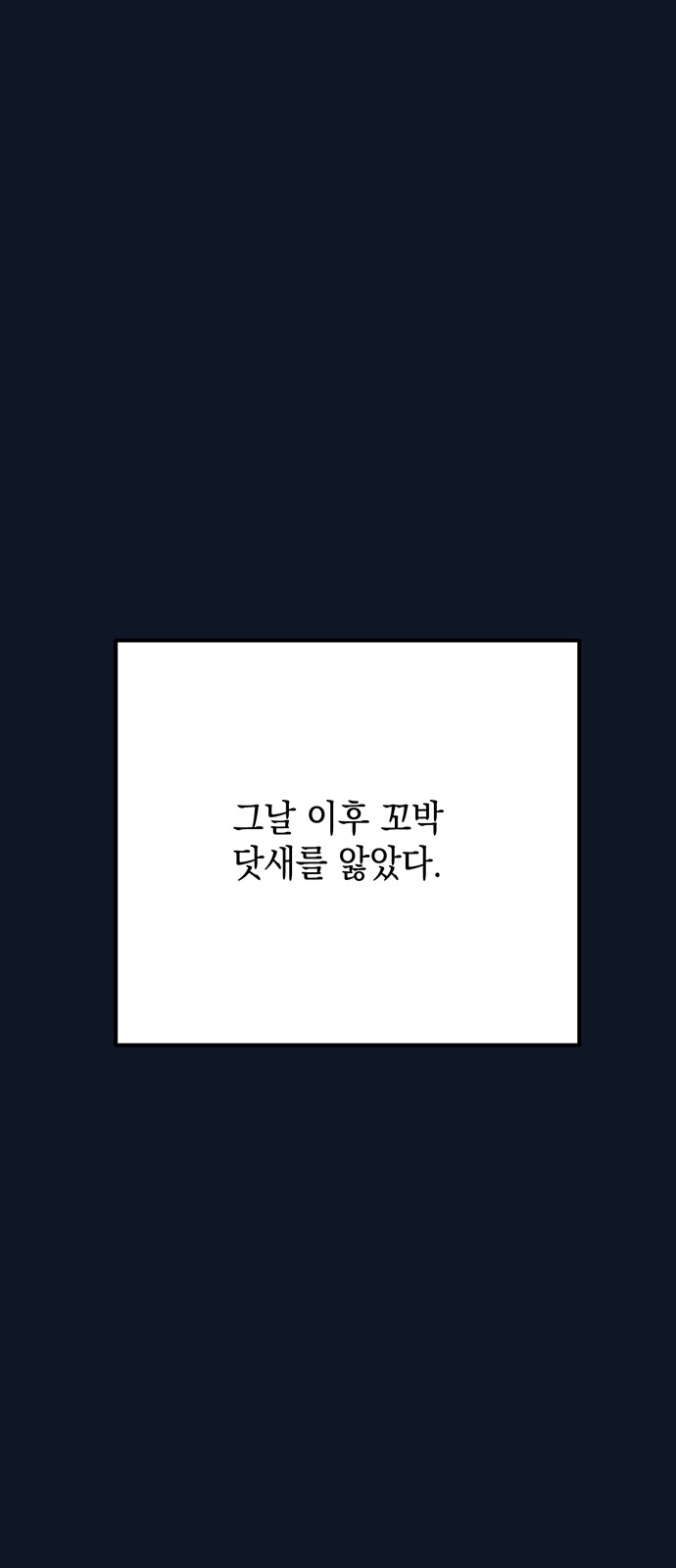 43 페이지