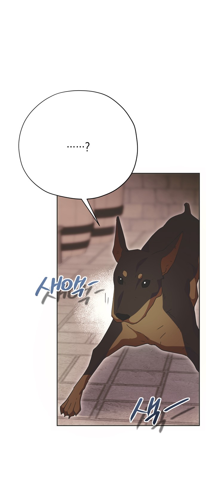 43 페이지
