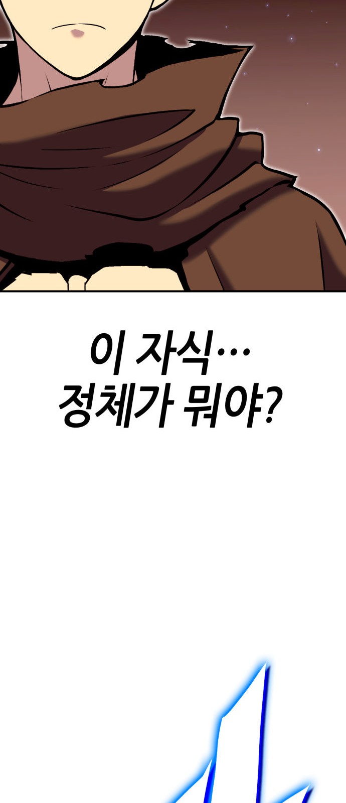 113 페이지
