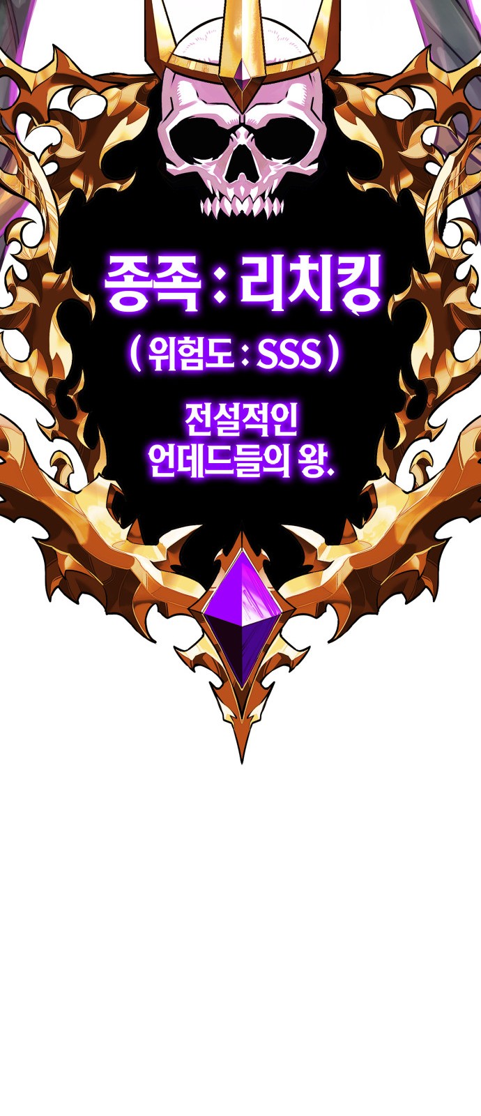 251 페이지